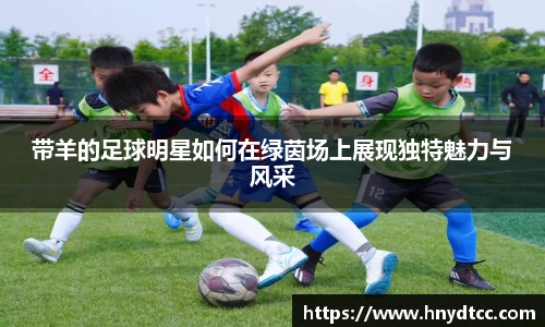 带羊的足球明星如何在绿茵场上展现独特魅力与风采